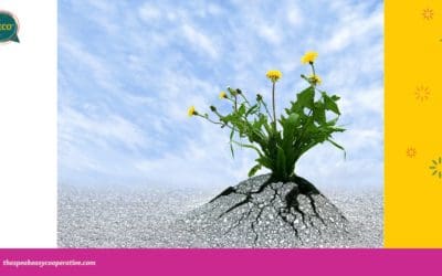 Persistence through Struggles and Failures