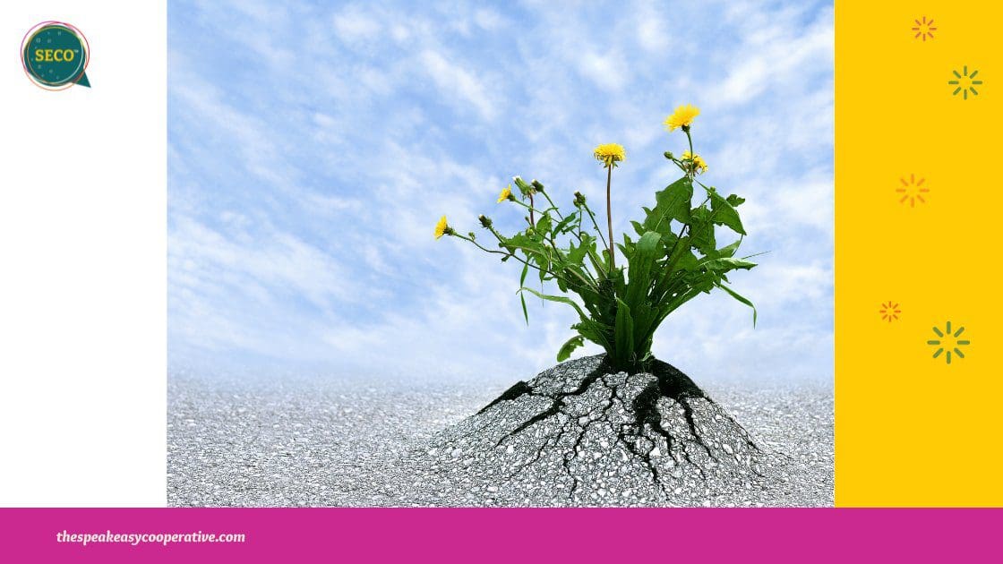 A flower bursts through dry, cracked soil, symbolizing persistence through Struggles and Failures.