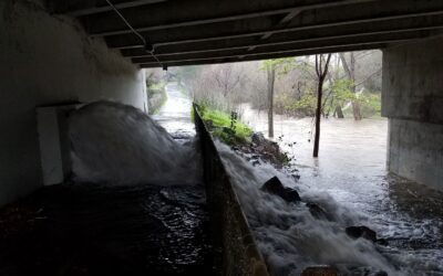 To Get What we Want, we must Seize the C.R.A.Y.