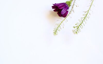 I will not help you find your authentic voice.