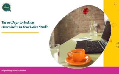 Three Ways to Reduce Overwhelm In Your Voice Studio
